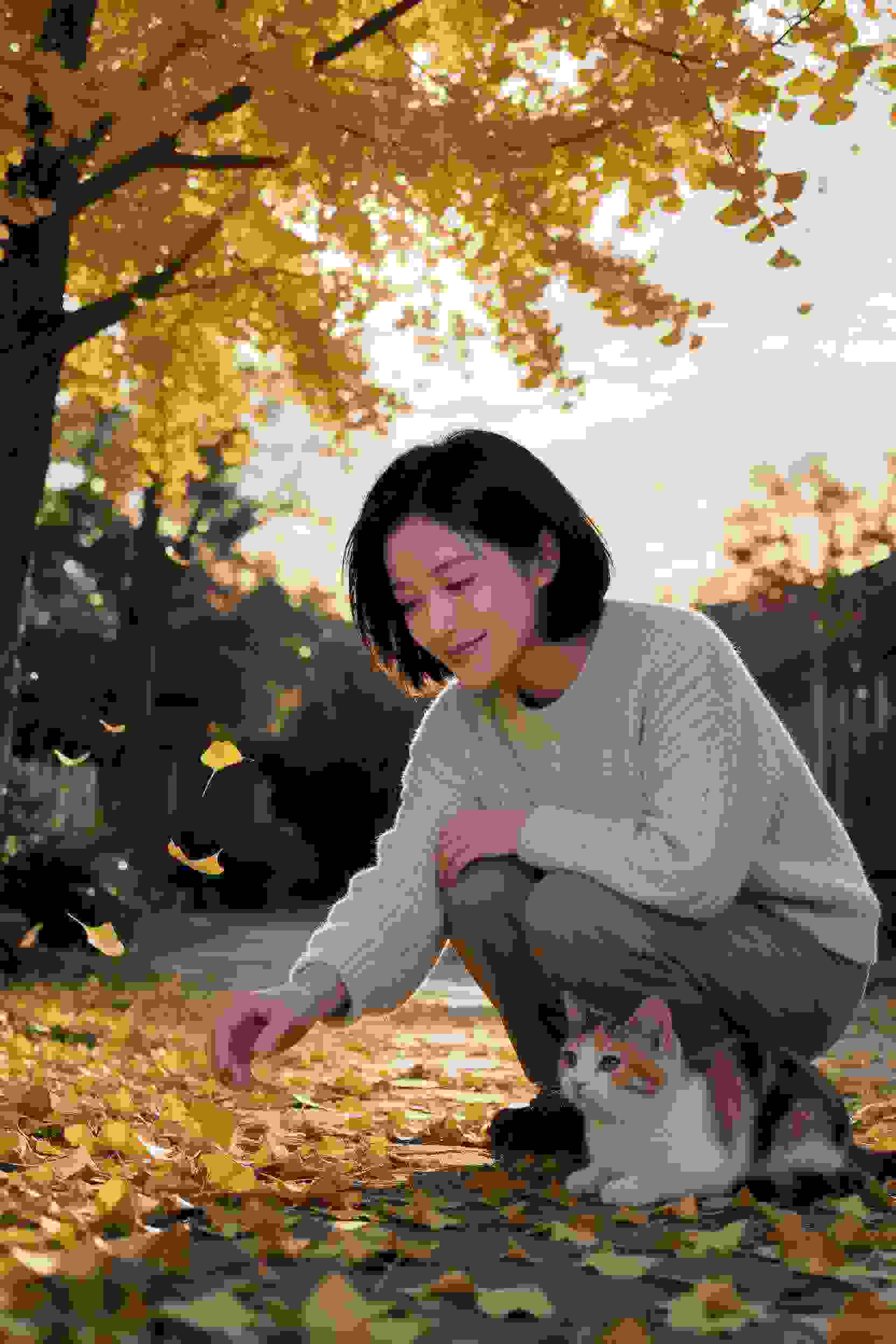 建筑师的梦想